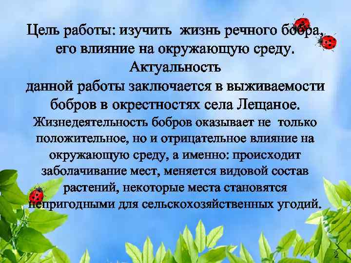 Цель работы: изучить жизнь речного бобра, его влияние на окружающую среду. Актуальность данной работы