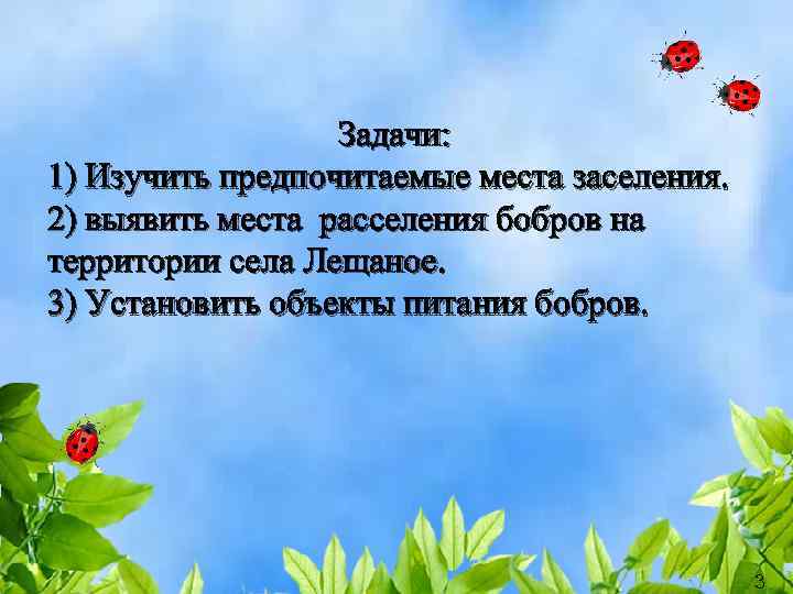 Задачи: 1) Изучить предпочитаемые места заселения. 2) выявить места расселения бобров на территории села