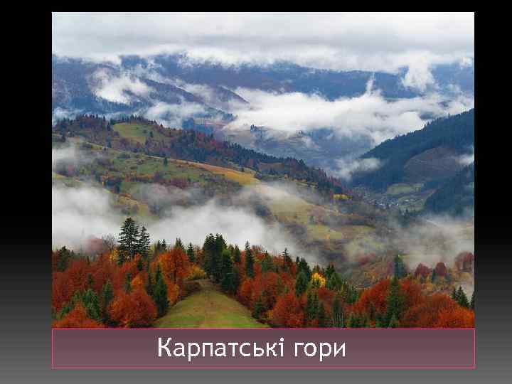 Карпатські гори 