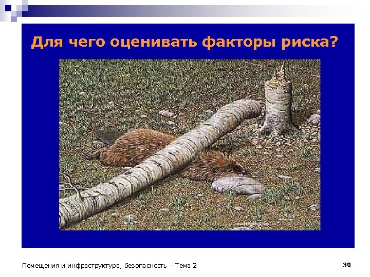Для чего оценивать факторы риска? Помещения и инфраструктура, безопасность – Тема 2 30 