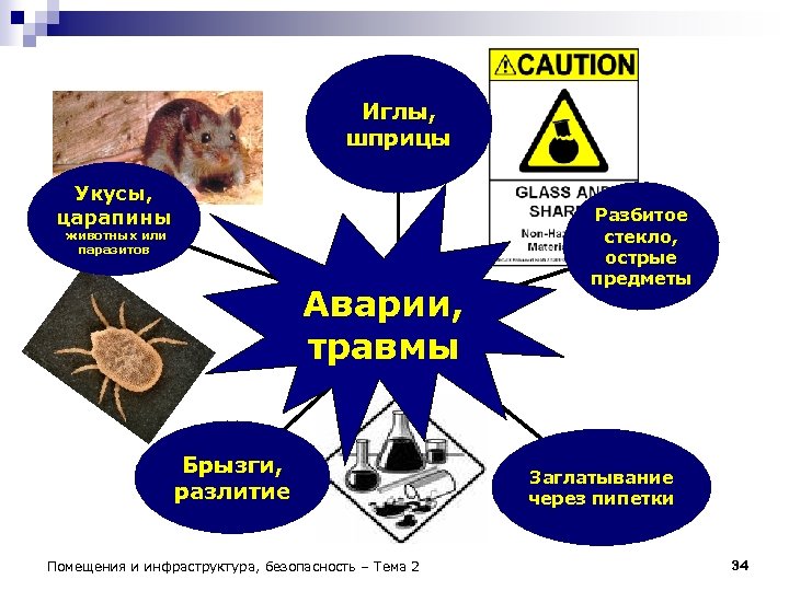 Иглы, шприцы Укусы, царапины животных или паразитов Аварии, травмы Брызги, разлитие Помещения и инфраструктура,