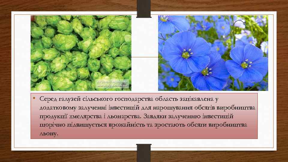  • Серед галузей сільського господарства область зацікавлена у додатковому залученні інвестицій для нарощування