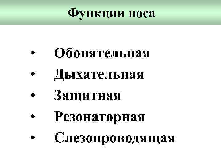 Функции носа • • • Обонятельная Дыхательная Защитная Резонаторная Слезопроводящая 