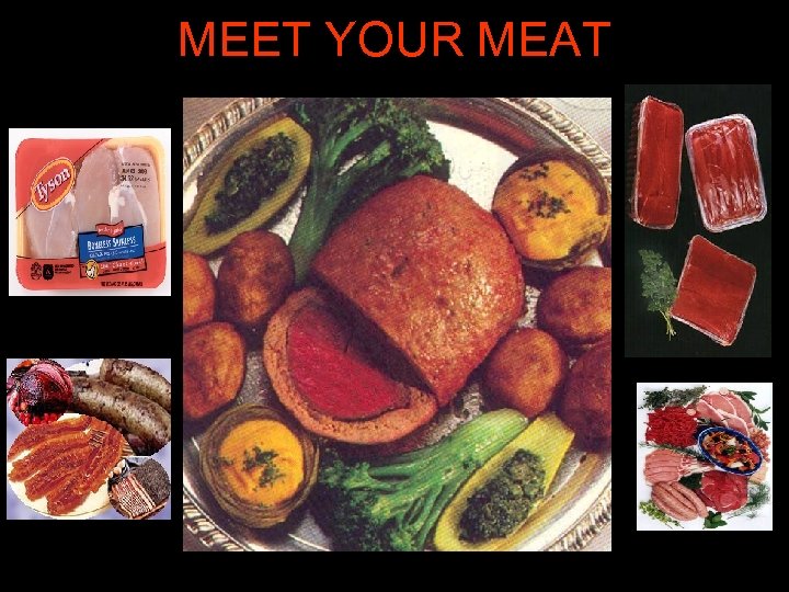 MEET YOUR MEAT 