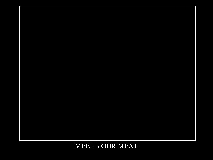 MEET YOUR MEAT 