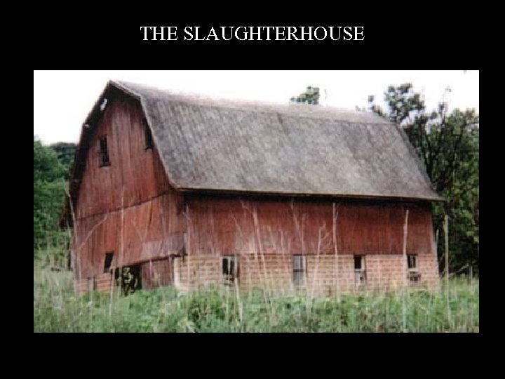 THE SLAUGHTERHOUSE 