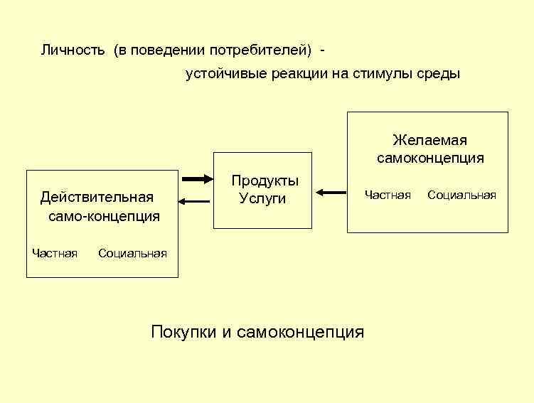 Личность (в поведении потребителей) устойчивые реакции на стимулы среды Действительная само концепция Частная Социальная