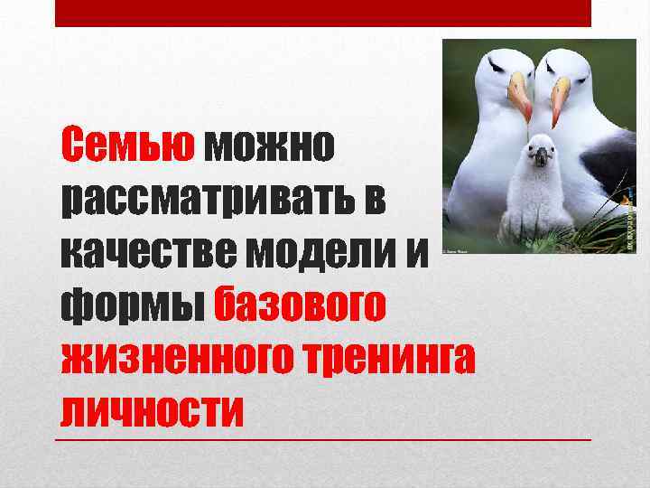 Семью можно рассматривать в качестве модели и формы базового жизненного тренинга личности 