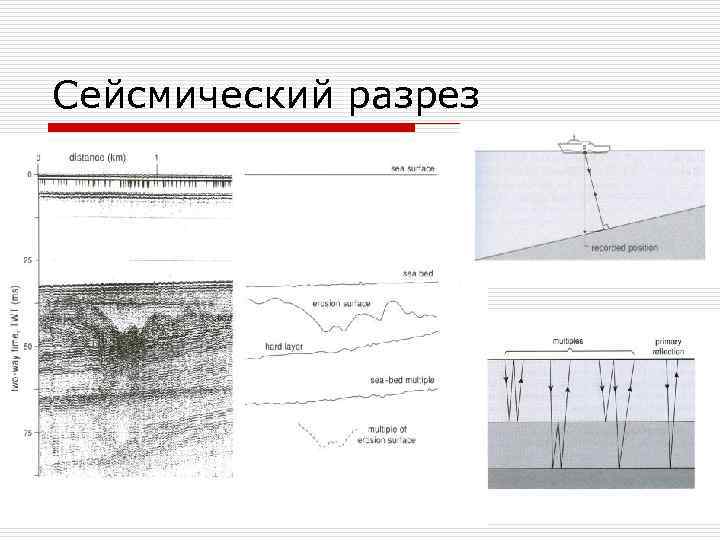 Сейсмический разрез 