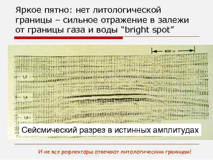 Яркое пятно: нет литологической границы – сильное отражение в залежи от границы газа и