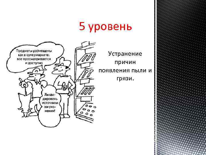 5 уровень Устранение причин появления пыли и грязи. 