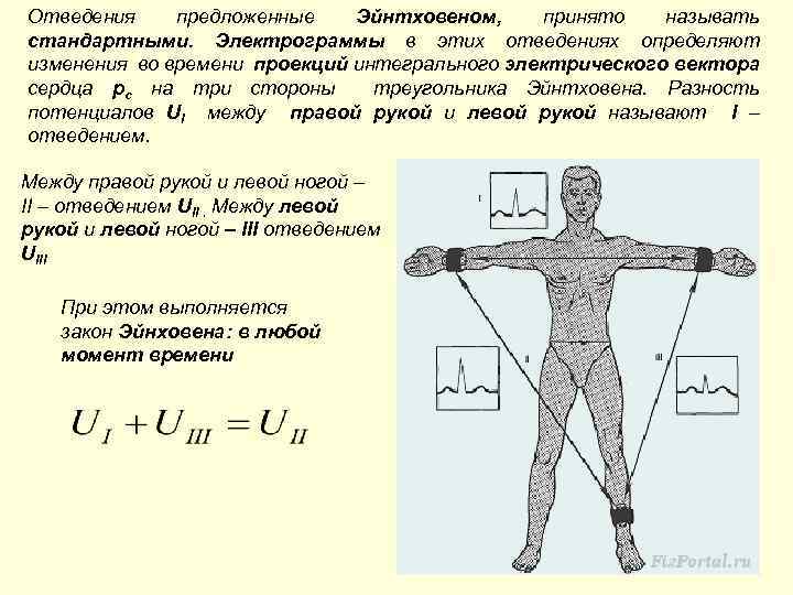 Правые отведения