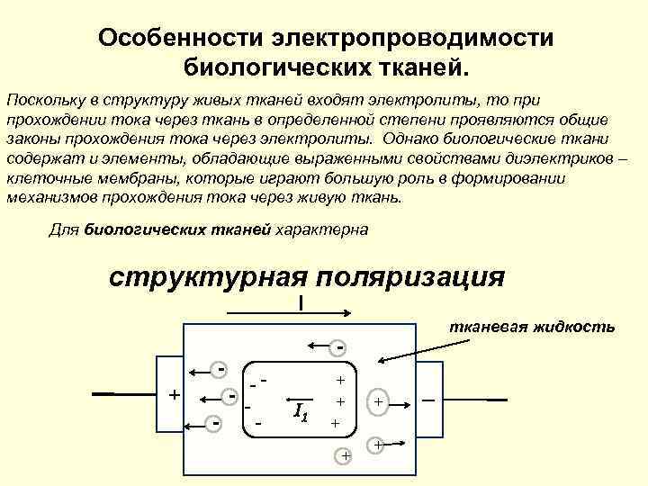 Особенности электропроводимости биологических тканей. Поскольку в структуру живых тканей входят электролиты, то при прохождении