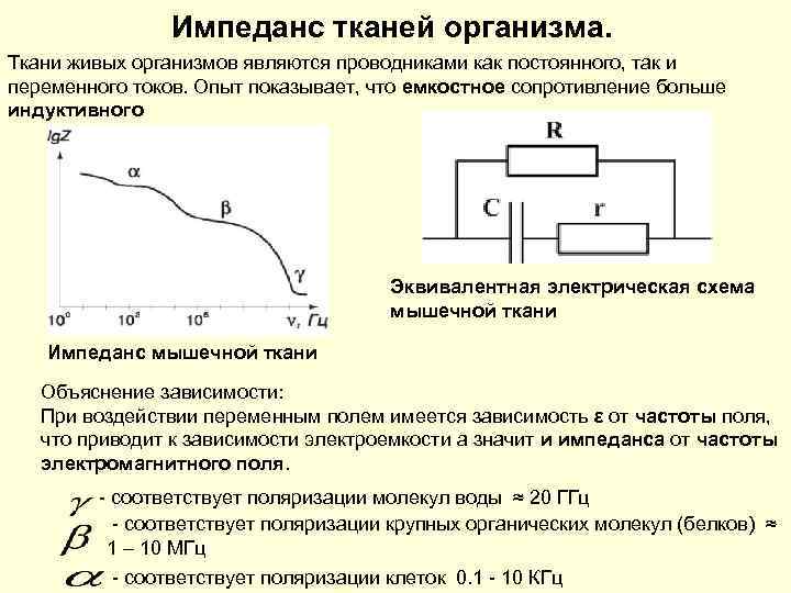 Импеданс тканей организма эквивалентная электрическая схема тканей организма