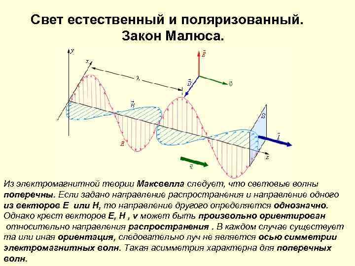 Начертите схему установки для проверки закона малюса опишите как вы провели эту проверку