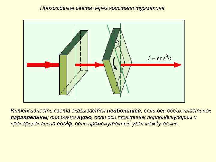 Прохождение света через глаз последовательность