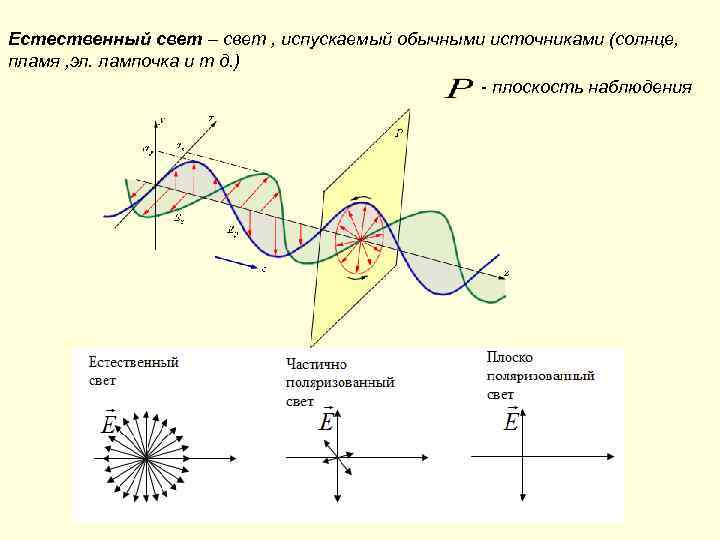 Естественный свет – свет , испускаемый обычными источниками (солнце, пламя , эл. лампочка и