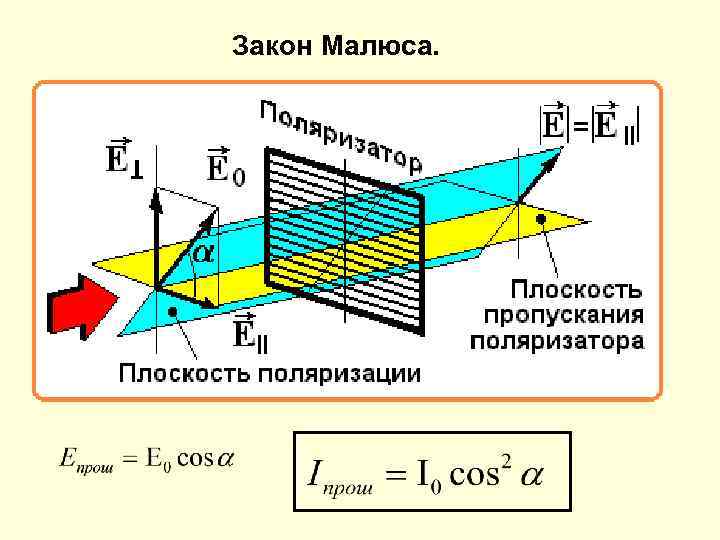 Закон малюса. Плоскость поляризации. Плоскость поляризатора. Плоскость плдчризатора. Плоскость поляризации поляризатора.