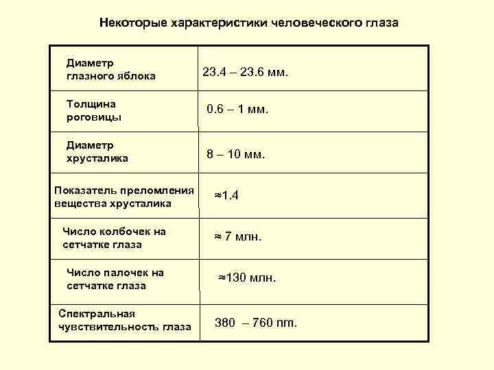 Некоторые характеристики человеческого глаза Диаметр глазного яблока 23. 4 – 23. 6 мм. Толщина
