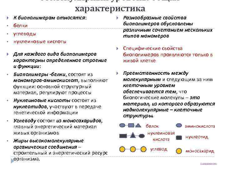 Молекулярный уровень: общая характеристика • • К биополимерам относятся: белки углеводы нуклеиновые кислоты Для