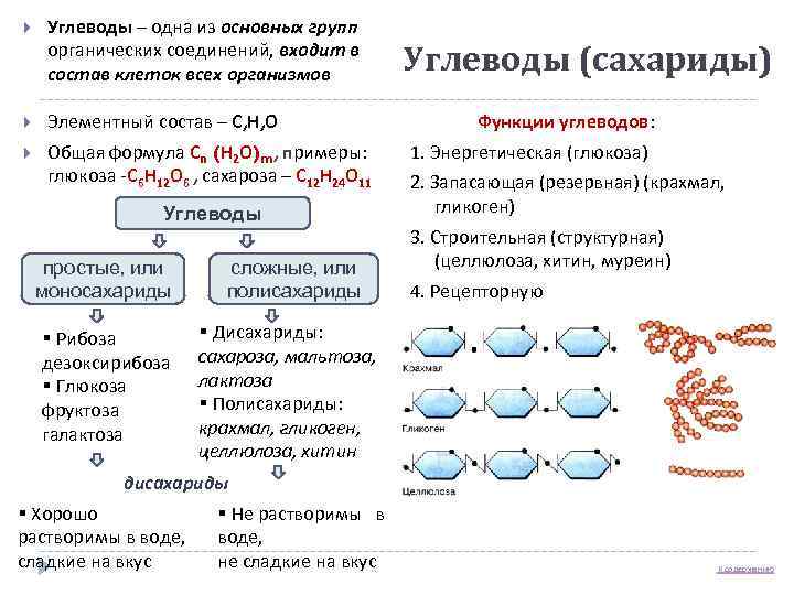  Углеводы – одна из основных групп органических соединений, входит в состав клеток всех