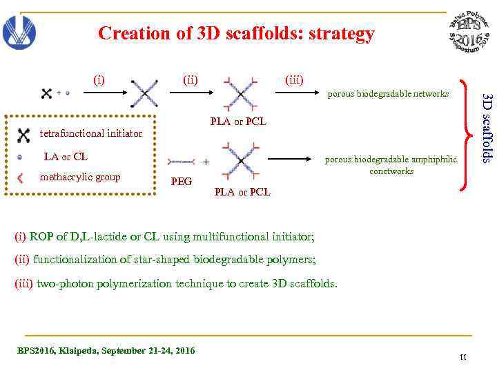 Creation of 3 D scaffolds: strategy (i) (iii) PLA or PCL tetrafunctional initiator LA