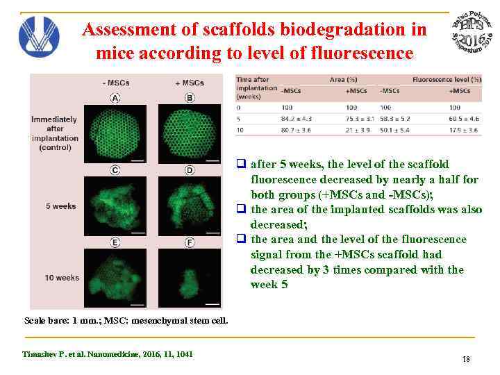 Assessment of scaffolds biodegradation in mice according to level of fluorescence q after 5