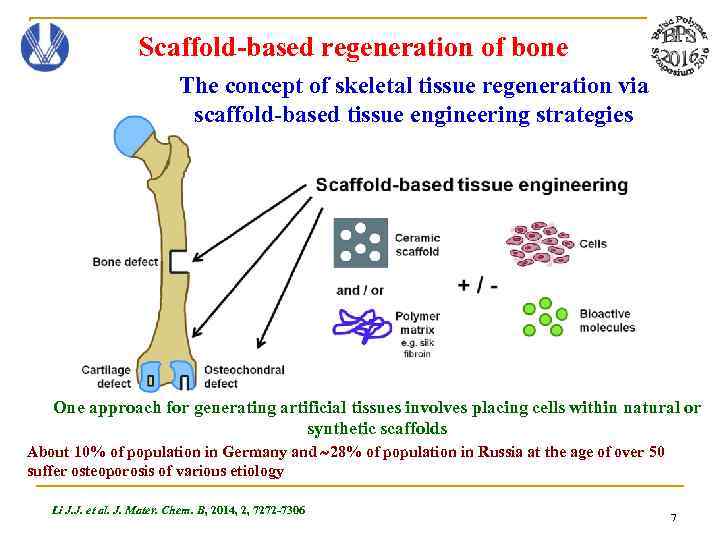 Scaffold-based regeneration of bone The concept of skeletal tissue regeneration via scaffold-based tissue engineering