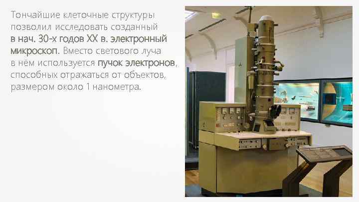 Тончайшие клеточные структуры позволил исследовать созданный в нач. 30 -х годов XX в. электронный