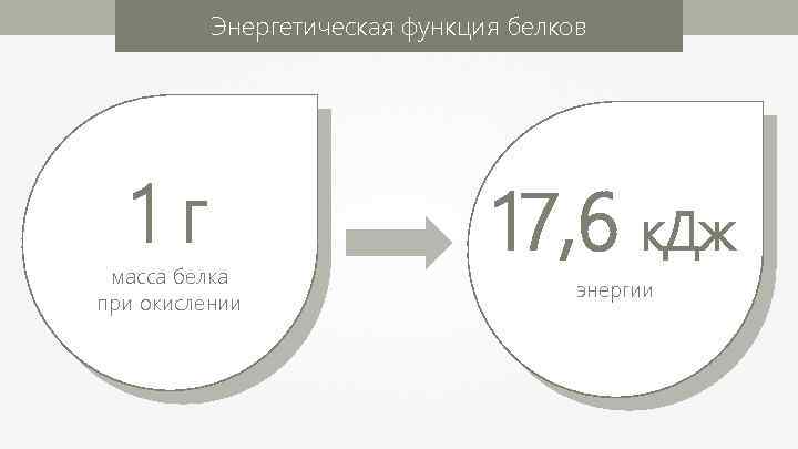 Энергетическая функция белков 1 г масса белка при окислении 17, 6 к. Дж энергии