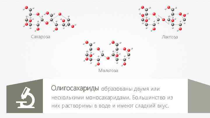 Олигосахариды сахароза презентация 10 класс