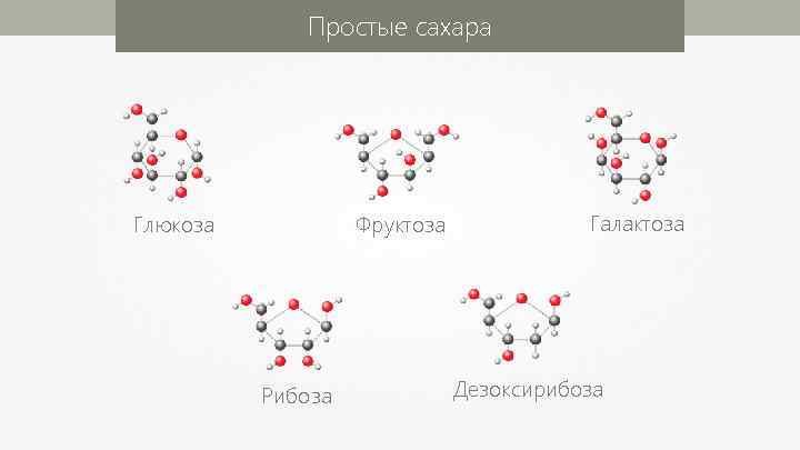 Простые сахара Глюкоза Фруктоза Рибоза Галактоза Дезоксирибоза 