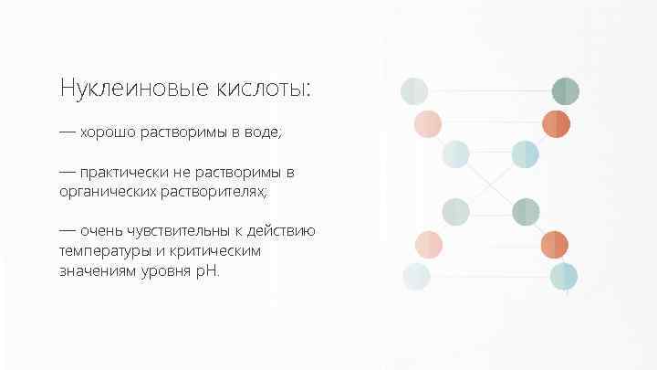 Нуклеиновые кислоты: — хорошо растворимы в воде; — практически не растворимы в органических растворителях;