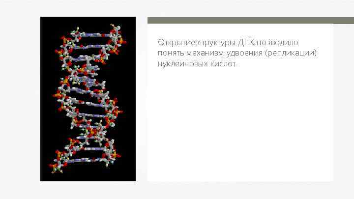 Открытие структуры ДНК позволило понять механизм удвоения (репликации) нуклеиновых кислот. 