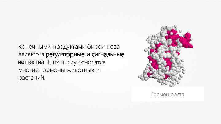 Презентация 10 класс атф и другие органические соединения клетки