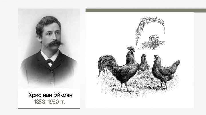 Христиан Эйкман 1858– 1930 гг. 