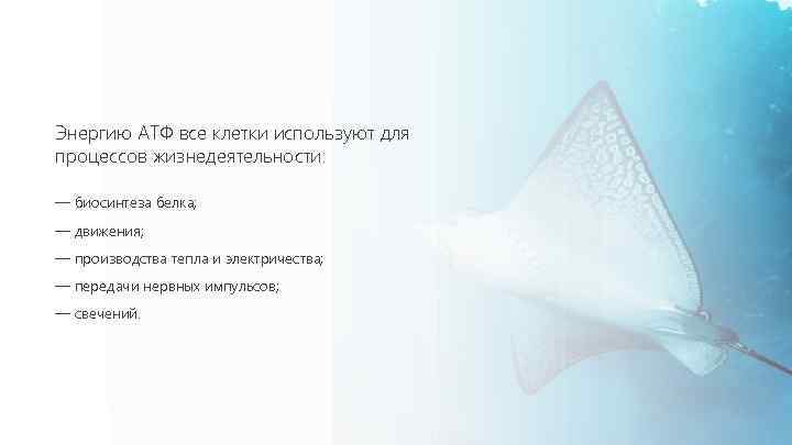 Энергию АТФ все клетки используют для процессов жизнедеятельности: — биосинтеза белка; — движения; —