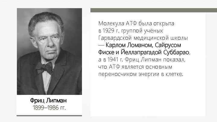 Молекула АТФ была открыта в 1929 г. группой учёных Гарвардской медицинской школы — Карлом