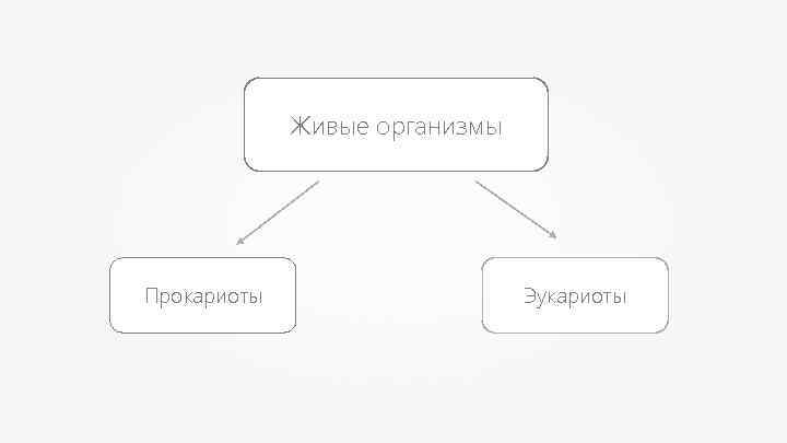 Живые организмы Прокариоты Эукариоты 