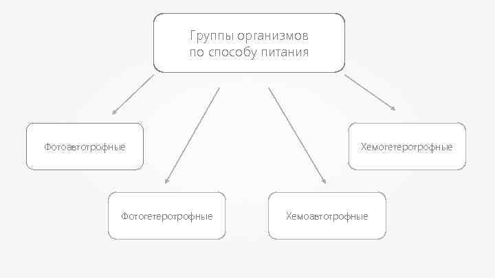 Группы организмов по способу питания Фотоавтотрофные Фотогетеротрофные Хемоавтотрофные 