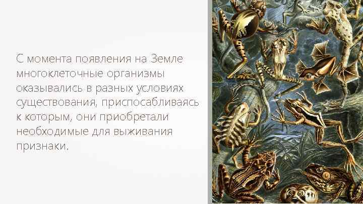 С момента появления на Земле многоклеточные организмы оказывались в разных условиях существования, приспосабливаясь к