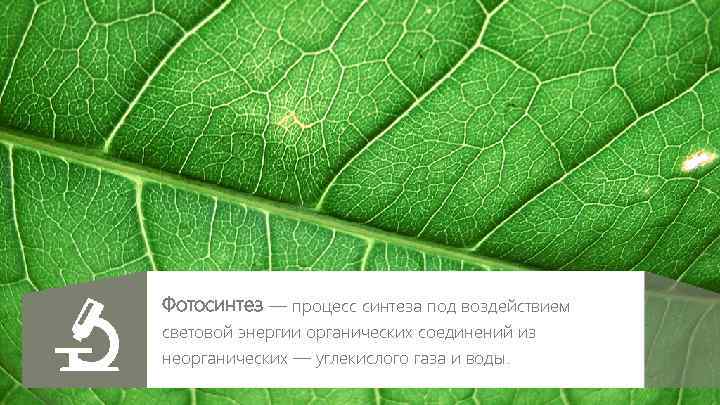 Фотосинтез — процесс синтеза под воздействием световой энергии органических соединений из неорганических — углекислого