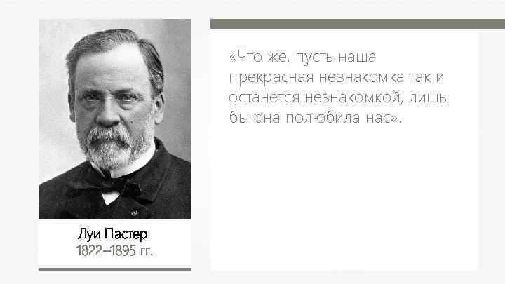  «Что же, пусть наша прекрасная незнакомка так и останется незнакомкой, лишь бы она