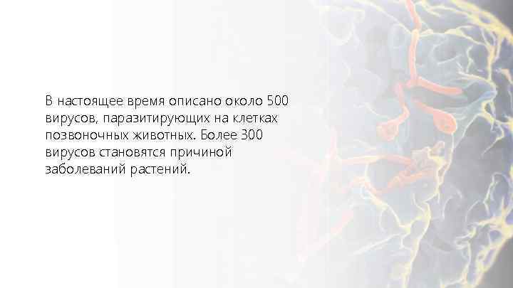 В настоящее время описано около 500 вирусов, паразитирующих на клетках позвоночных животных. Более 300