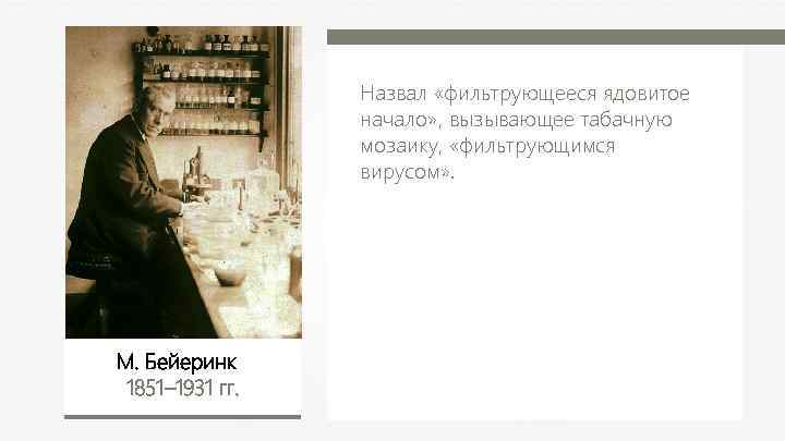 Назвал «фильтрующееся ядовитое начало» , вызывающее табачную мозаику, «фильтрующимся вирусом» . М. Бейеринк 1851–