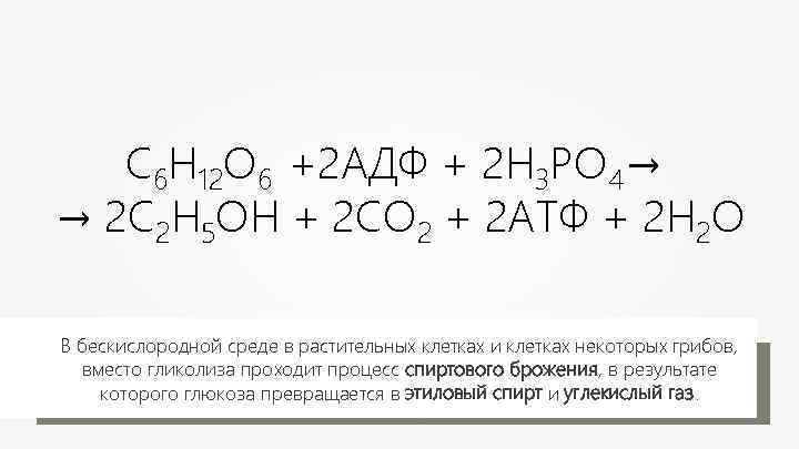 Совокупность синтеза. С6н12о6 + 2адф + 2н3ро4. С6н12о6+АДФ+н3ро4.