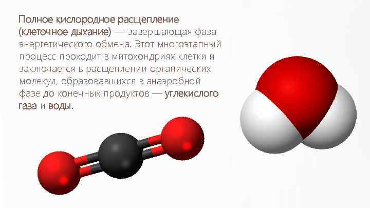 Молекулы образуются при расщеплении. Полное кислородное расщепление. Расщепление молекул. Расщепитель на молекулы. Расщепление молекулы воды.