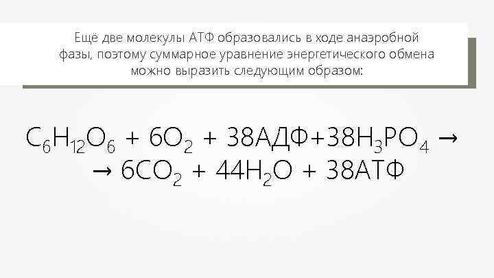 Ещё две молекулы АТФ образовались в ходе анаэробной фазы, поэтому суммарное уравнение энергетического обмена