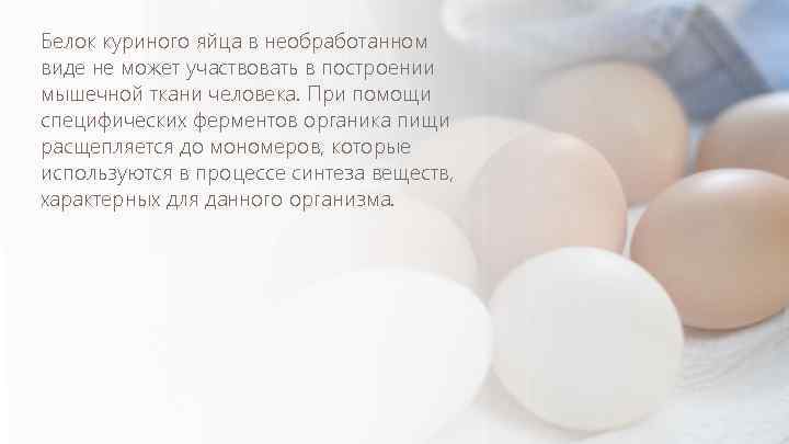 Белок куриного яйца в необработанном виде не может участвовать в построении мышечной ткани человека.