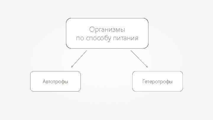 Организмы по способу питания Автотрофы Гетеротрофы 